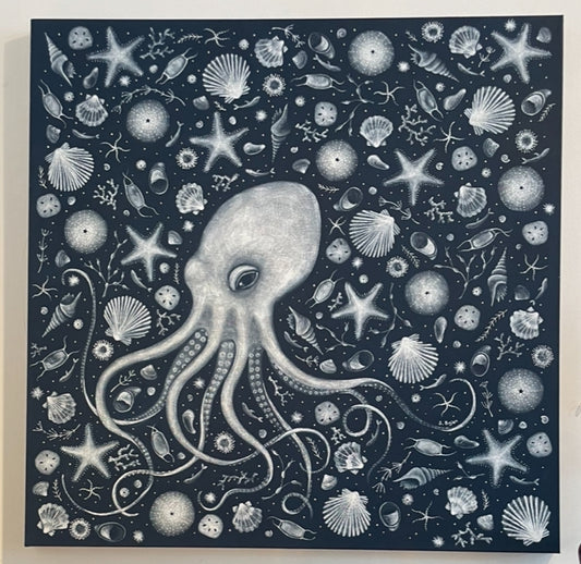 Ocean floor art by Massachusetts artist Sarah Bejer